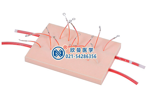 表面血管结扎止血操作模型
