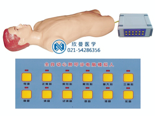 心肺叩诊电脑模拟人