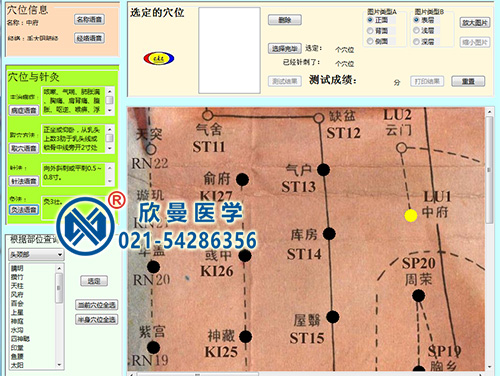 经穴学及针刺仿真训练系统软件界面