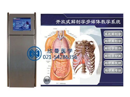 开放式解剖学辅助教学系统