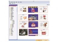 医学多媒体素材库及教学平台