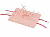 表面血管结扎止血操作模型